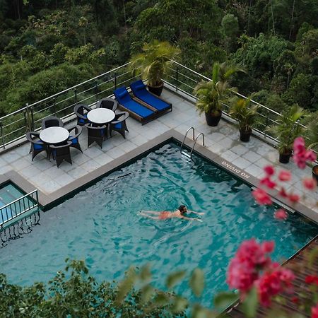 The Panoramic Getaway Hotel Munnar Bagian luar foto The swimming pool at the hotel